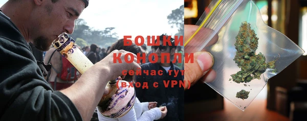 гашик Михайлов