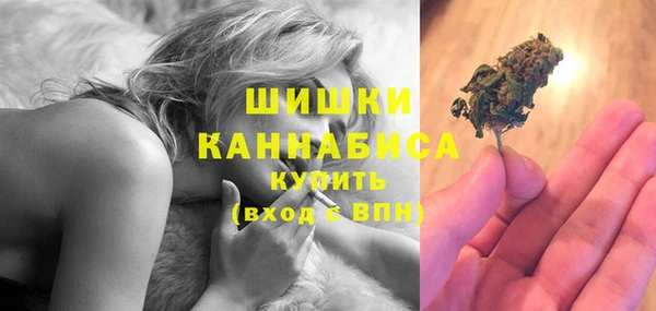 шишки Саяногорск
