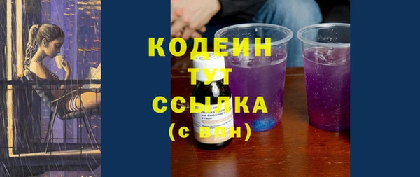 шишки Саяногорск