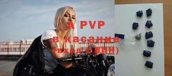 хмурый Сатка