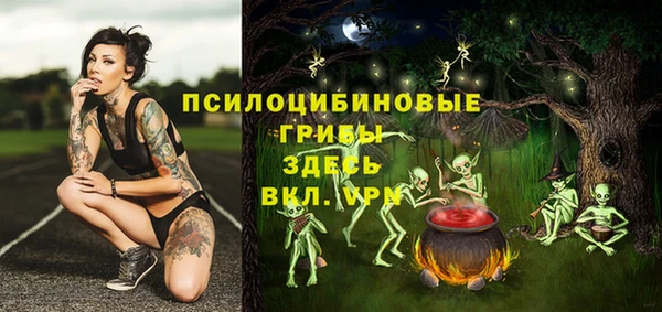 эйфоретик Сафоново