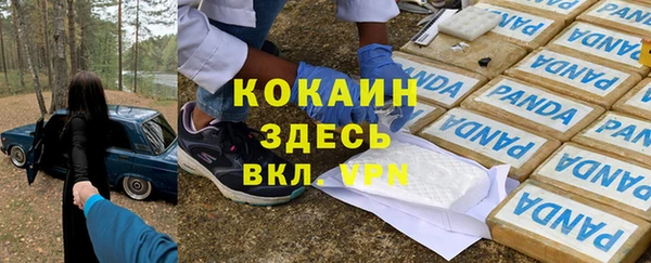 шишки Саяногорск