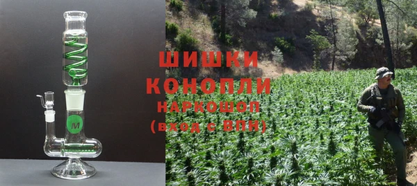 шишки Саяногорск