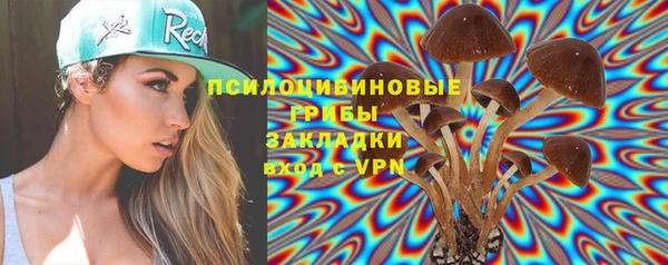 хмурый Сатка