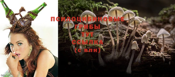 прущий лед Рославль