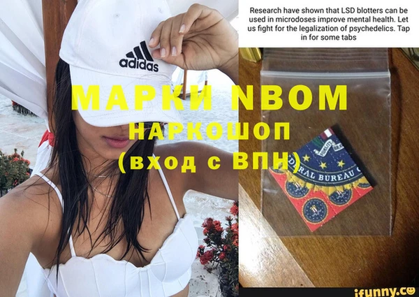шишки Саяногорск