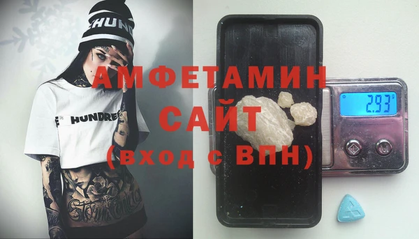 шишки Саяногорск