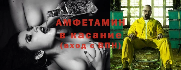 шишки Саяногорск