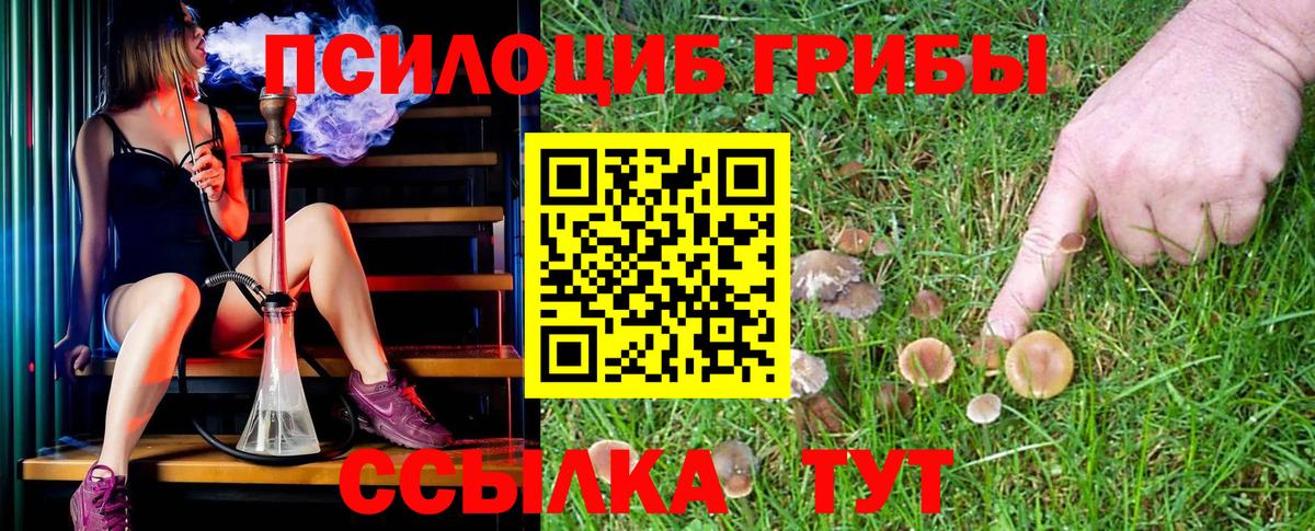 Псилоцибиновые грибы мицелий  Урай 